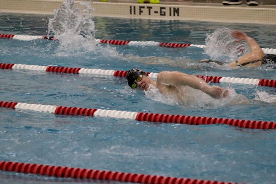 BACK IN WATER Leo Applegate 23 swims freestyle at a meet against Dundee Jan. 18.