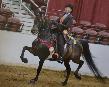 TWO LIVES HARNESSED TOGETHER Ella Kim ‘24 riding with her first horse. “This was our first show together, and I could not wait for more.”